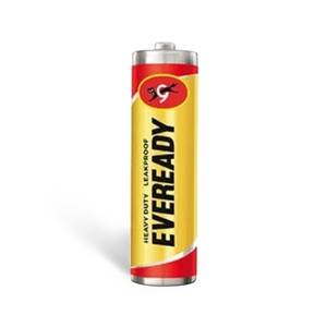 AA Everyday Battery 